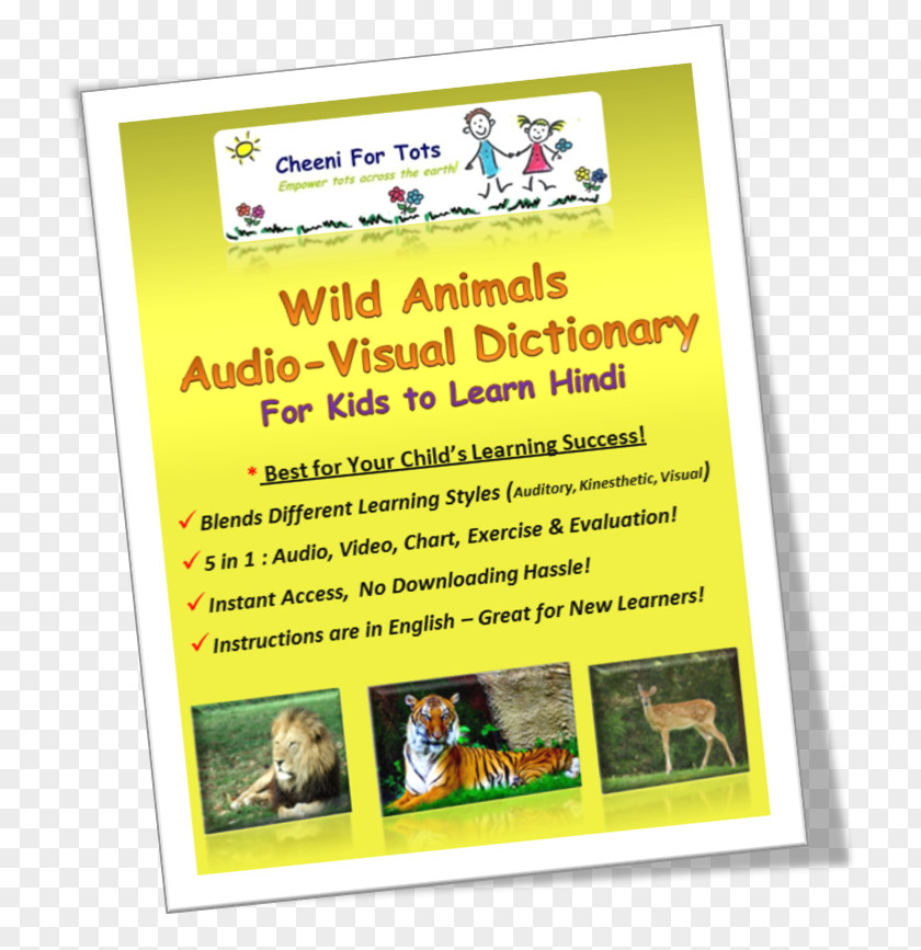 Animals Vocabulary For Kids Advertising Recreation PNG