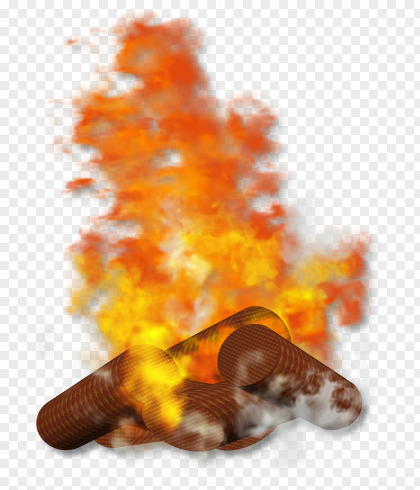 Campfire Flame Fire Conflagration /m/02_41 PNG