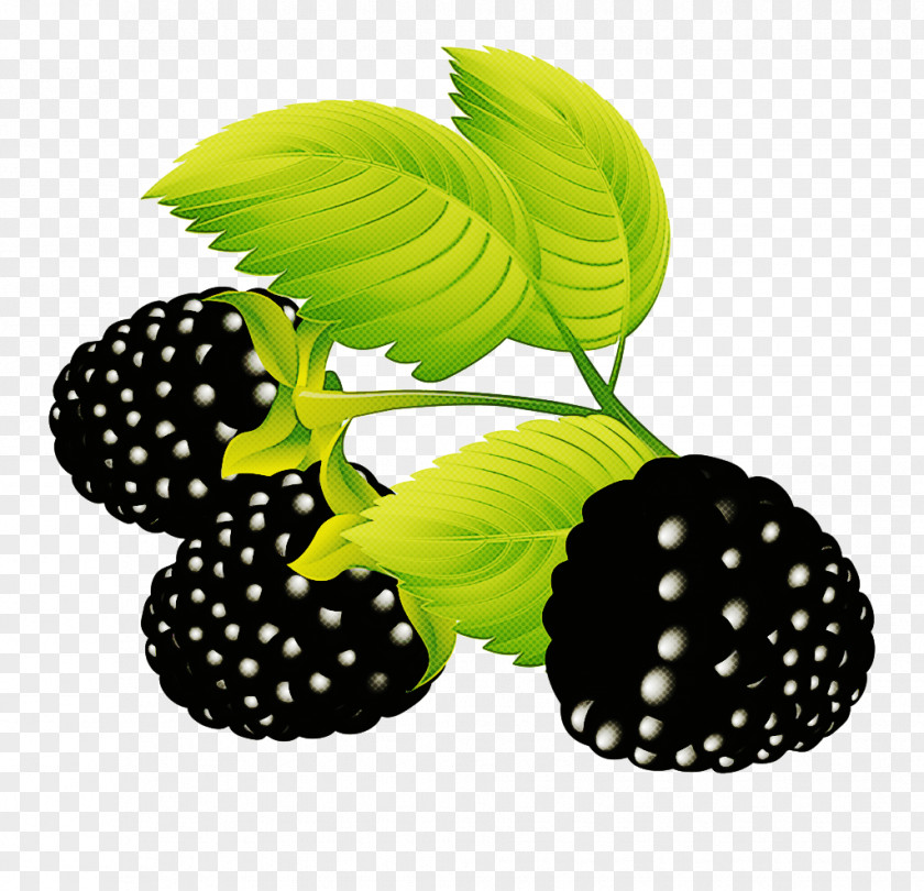 Blackberry Berry Green Leaf Plant PNG