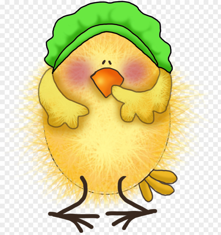 Chick Drawing Decoupage Illustration PNG