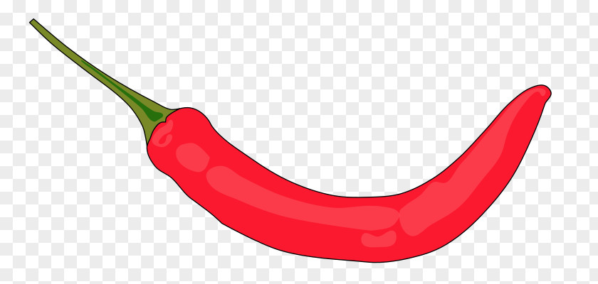 Chiles Cliparts Tabasco Pepper Cayenne Peperoncino Chili Malagueta PNG