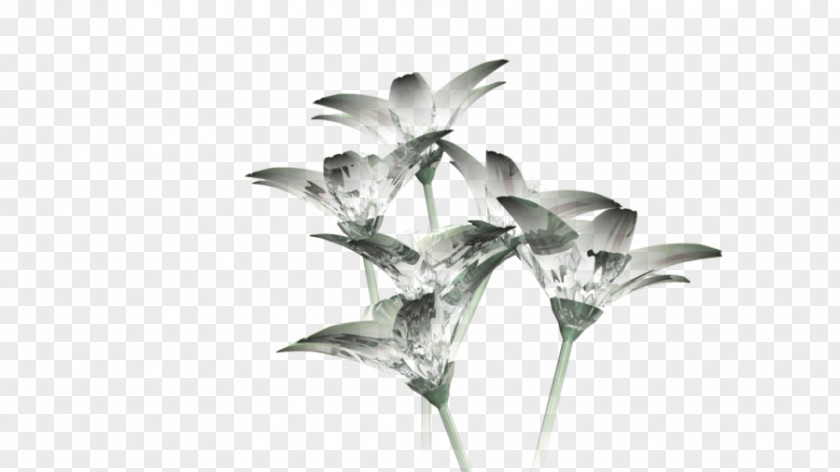Glass Flowers Cut Petal Plant Stem PNG