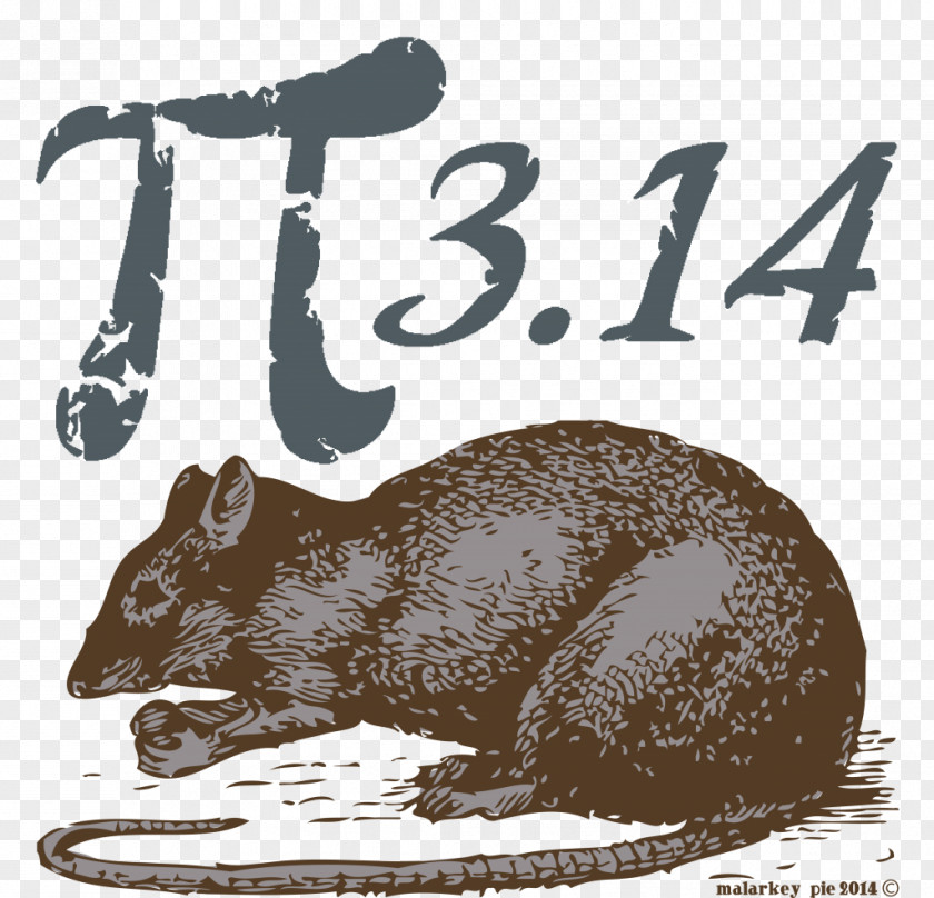Rat & Mouse Pi Day Mathematics Mammal PNG