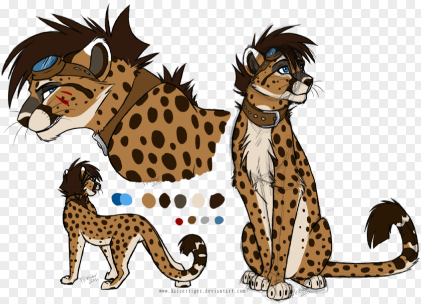 Cheetah King Tiger Lion Drawing PNG