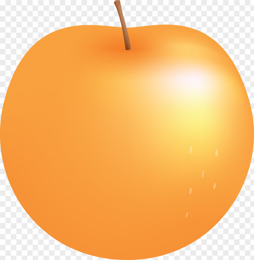 Fruit Apple PNG