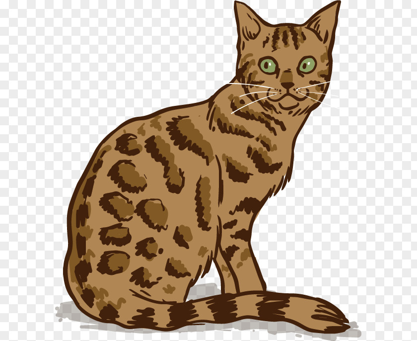 Bengal Leopard Cat Siamese Burmese Persian Kitten PNG