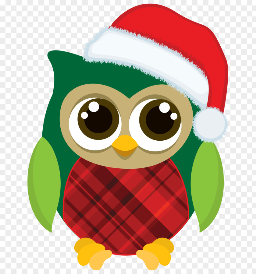 Christmas Chrismukkah Owl Clip Art PNG