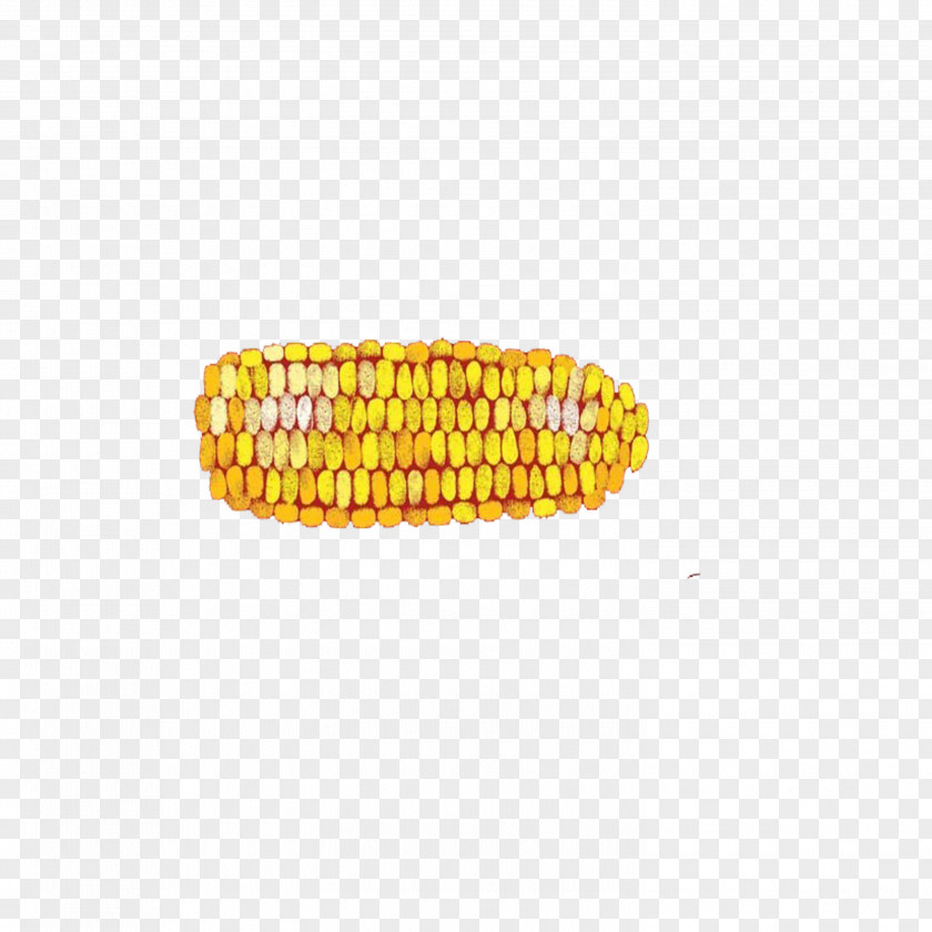 Corn On The Cob Maize Cereal PNG