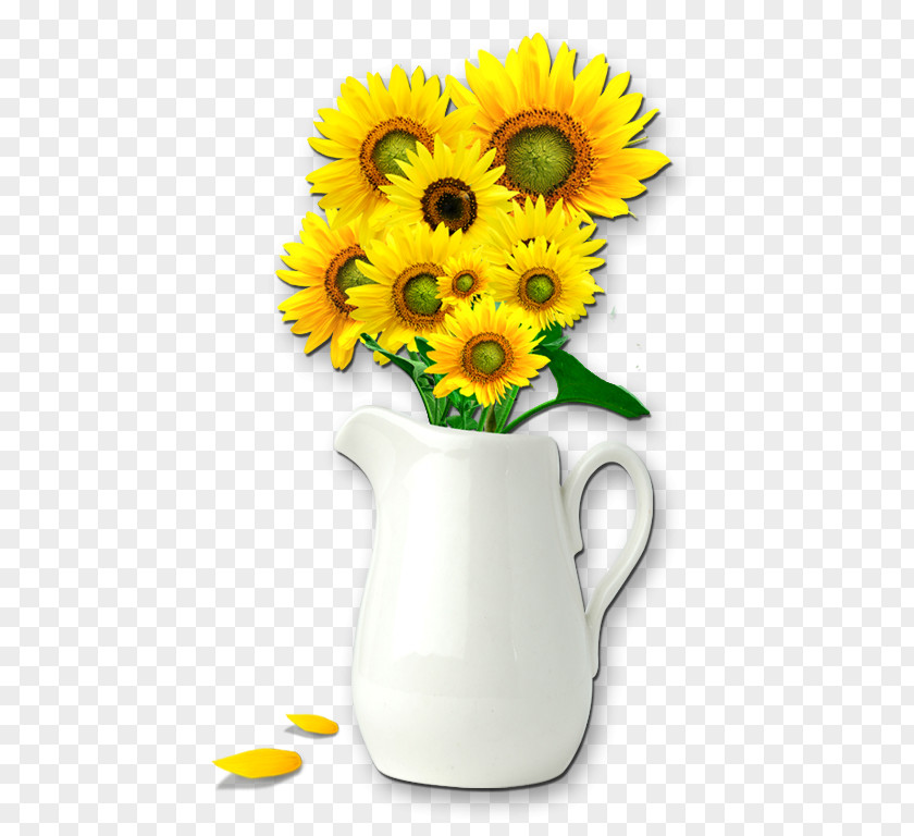 Flower Basket White Vase Common Sunflower PNG