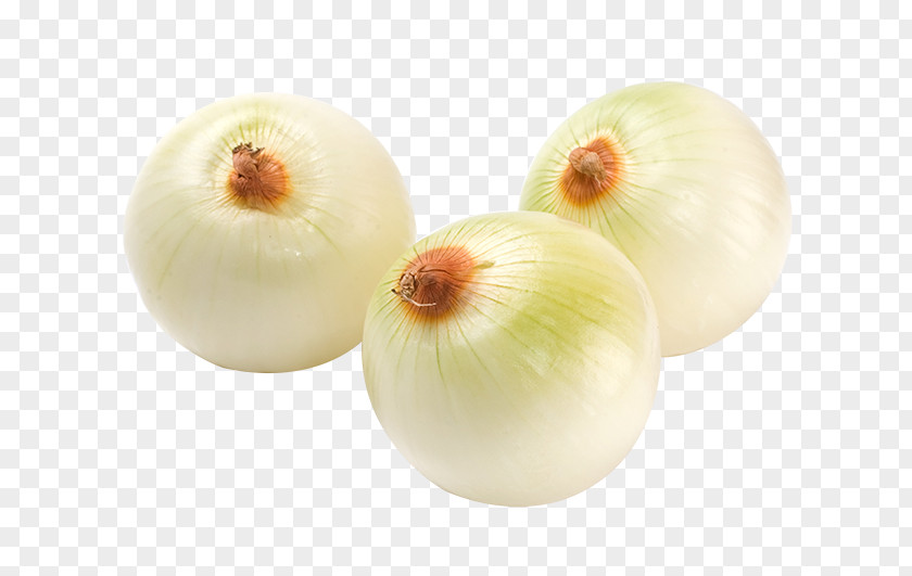 Fresh White Onions Shallot Vegetable Scallion Carrot PNG