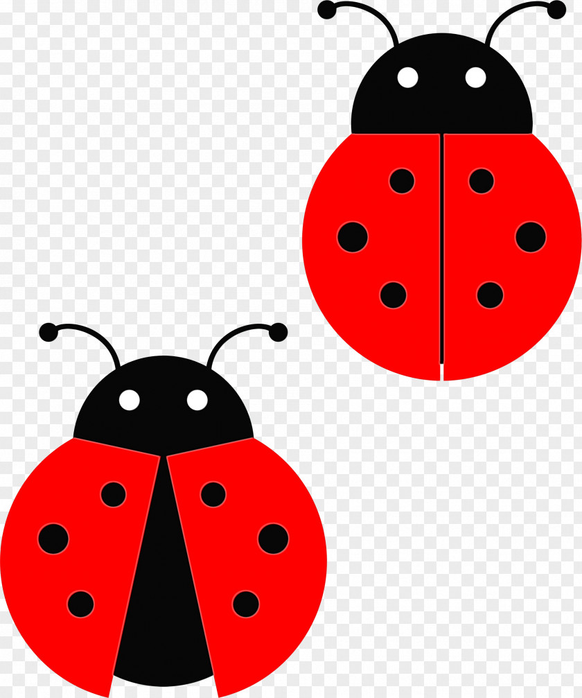 Ladybug Insect Ladybird PNG