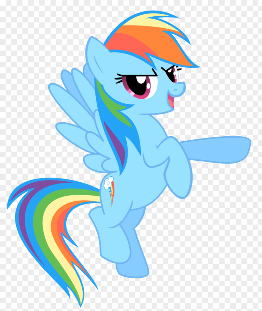 My Little Pony Rainbow Dash Applejack Rarity Pinkie Pie PNG