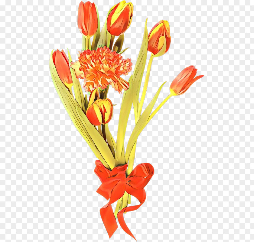 Plant Stem Petal Flower Cut Flowers Tulip Pedicel PNG
