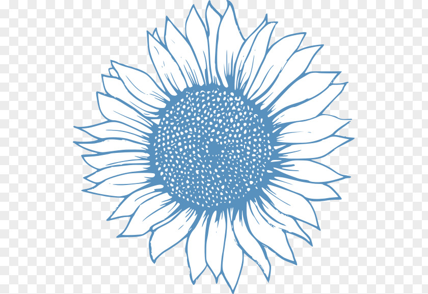 Sunflower Drawing Image Clip Art Sketch PNG