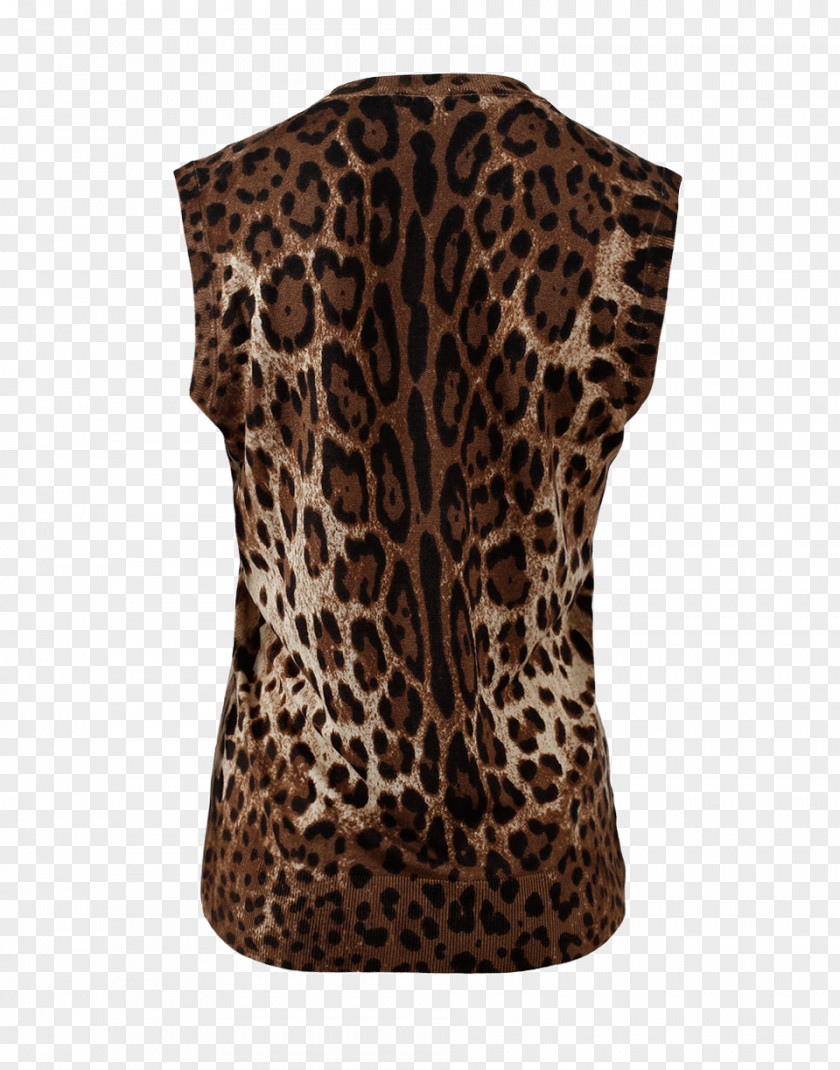 T-shirt Leopard Outerwear Animal Print Dolce & Gabbana PNG
