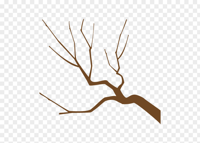 Twig Plant Stem Leaf Clip Art Product Design PNG