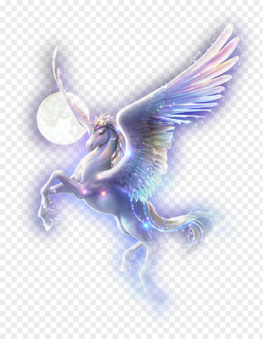 Unicorn Flying Horses Drawing Arabian Horse Pegasus PNG