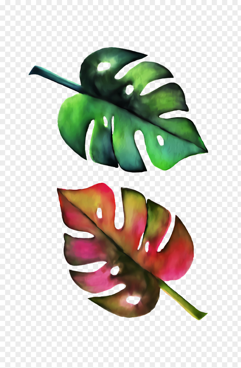 Vegetable Fruit PNG