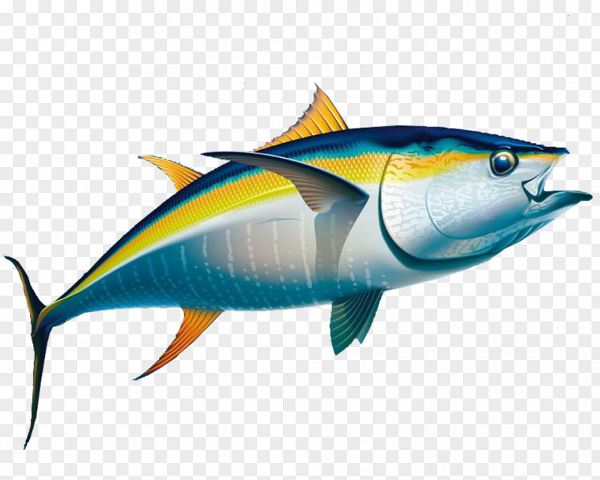 Cute Dolphin Yellowfin Tuna Fishing Albacore PNG