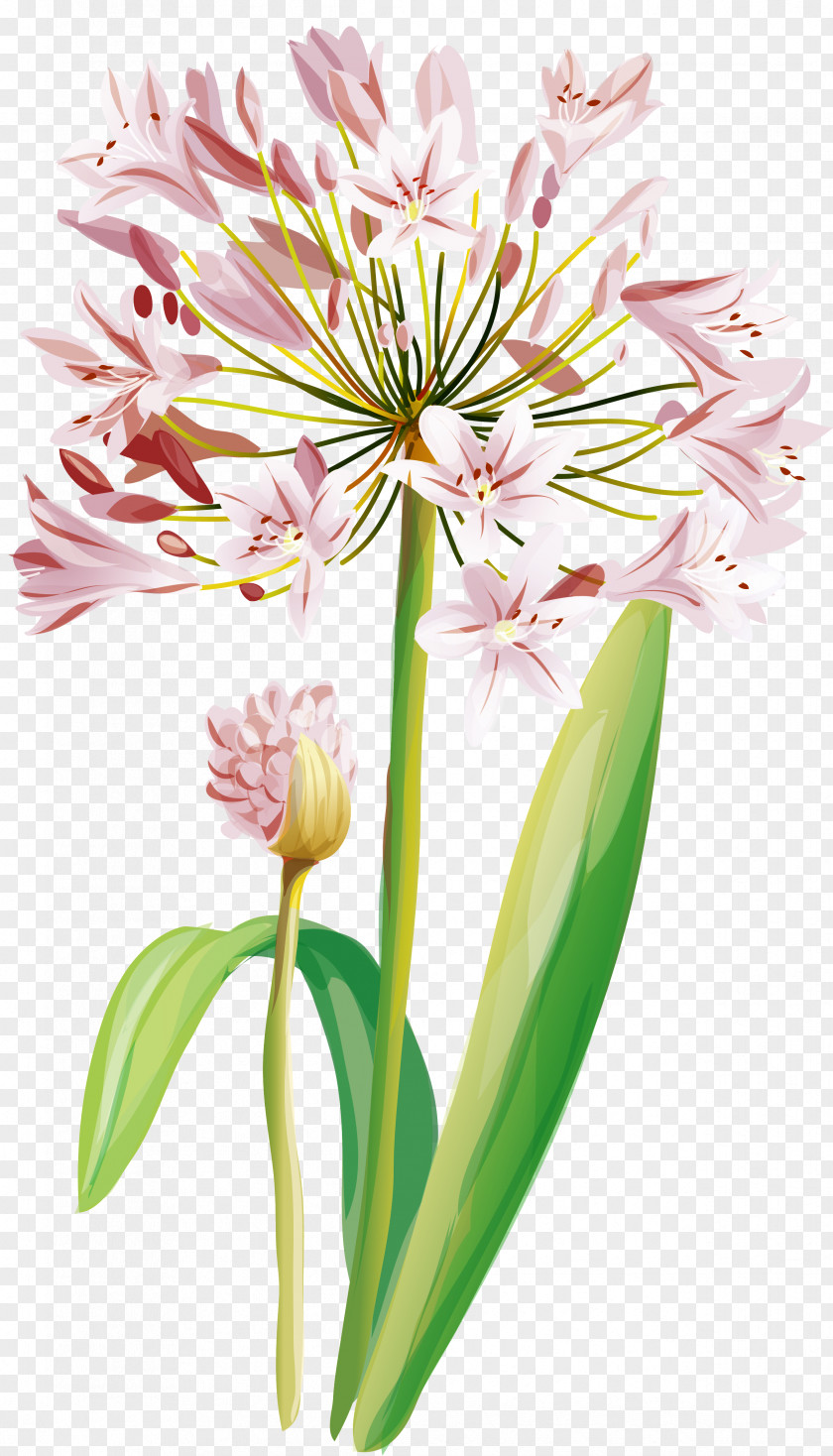 Flower Vector Graphics Watercolor Painting Clip Art PNG