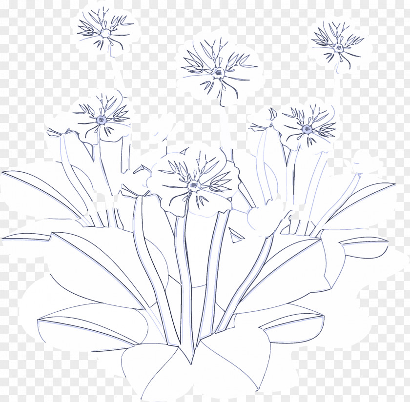 Pedicel Wildflower White Flower Line Art Plant Coloring Book PNG