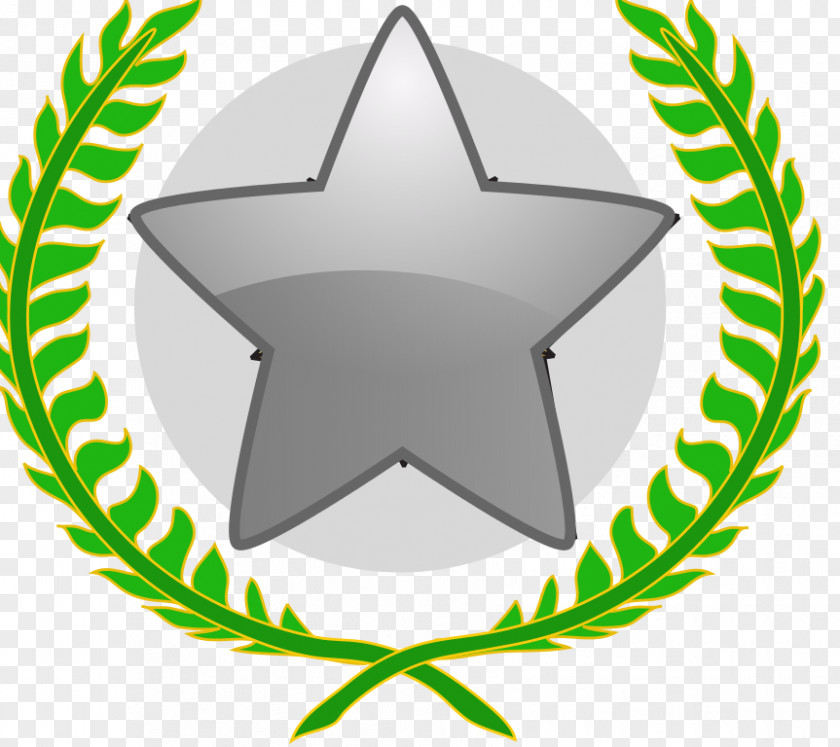 Award Clip Art Image Medal Free Content PNG