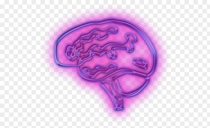 Brain Human Purple Clip Art PNG