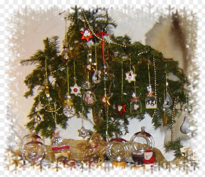 Christmas Tree Ornament Spruce Pine Fir PNG