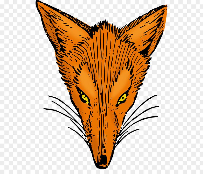 Fox Red Whiskers Clip Art PNG