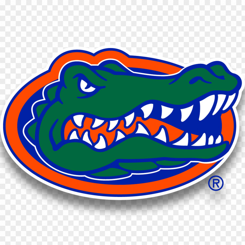 Go Gators Florida Football Men's Basketball Baseball Women's Volleyball University Of PNG