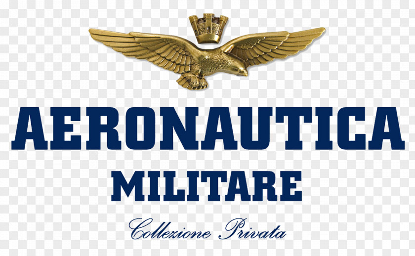 PrivateBergamo CollectionMilitary Frecce Tricolori Italian Air Force Military Aircraft PNG