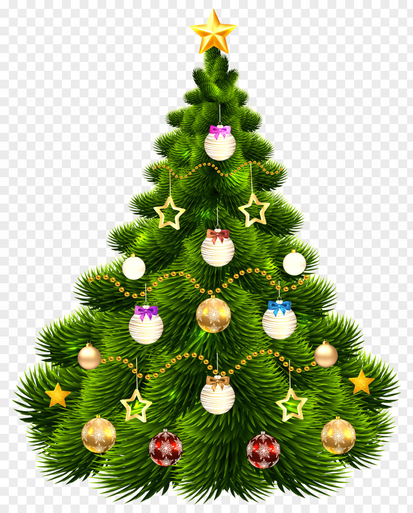 White Pine Christmas Tree PNG