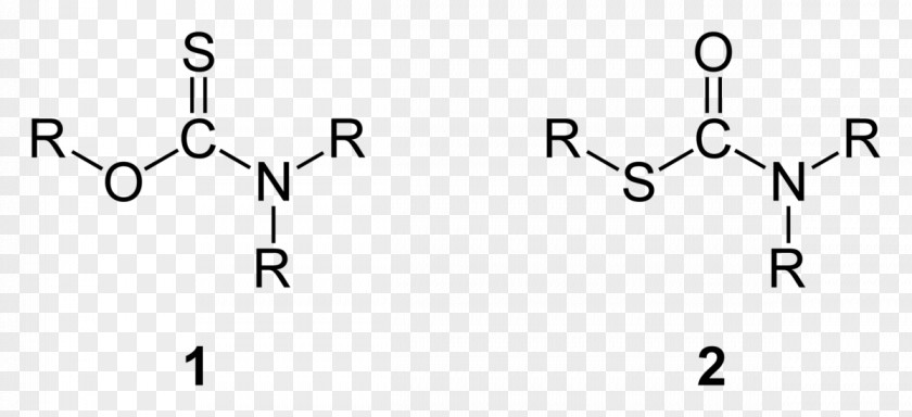 Dithiocarbamate Functional Group Ester PNG