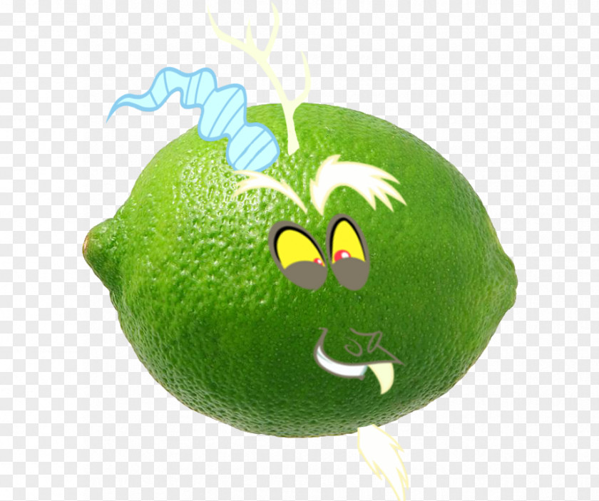 Little Buddha Persian Lime Citron Key Citrus Junos PNG