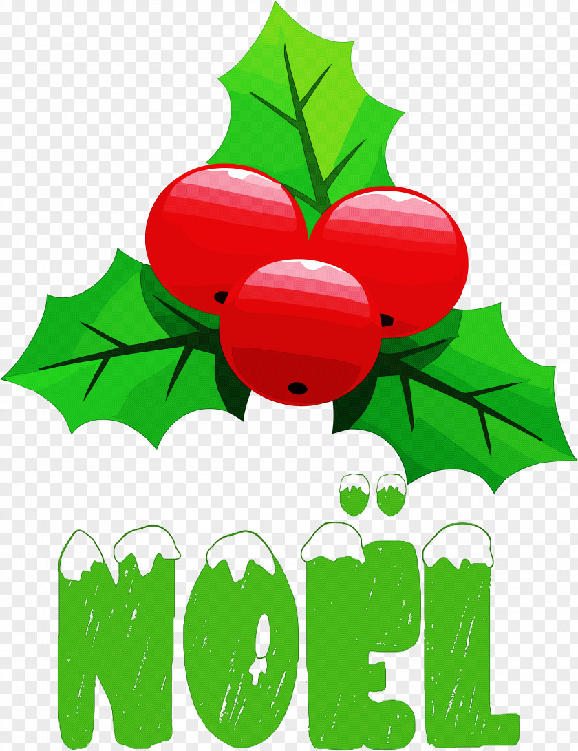 Noel Xmas Christmas PNG