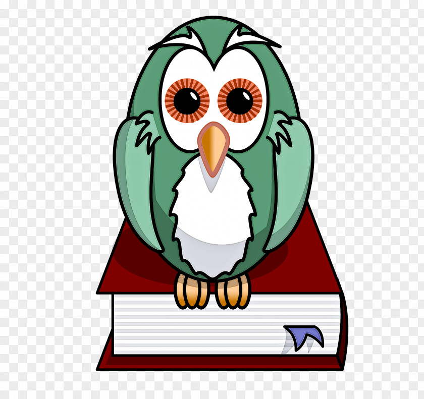 Owls Cartoon Birds Beak Bird Of Prey PNG