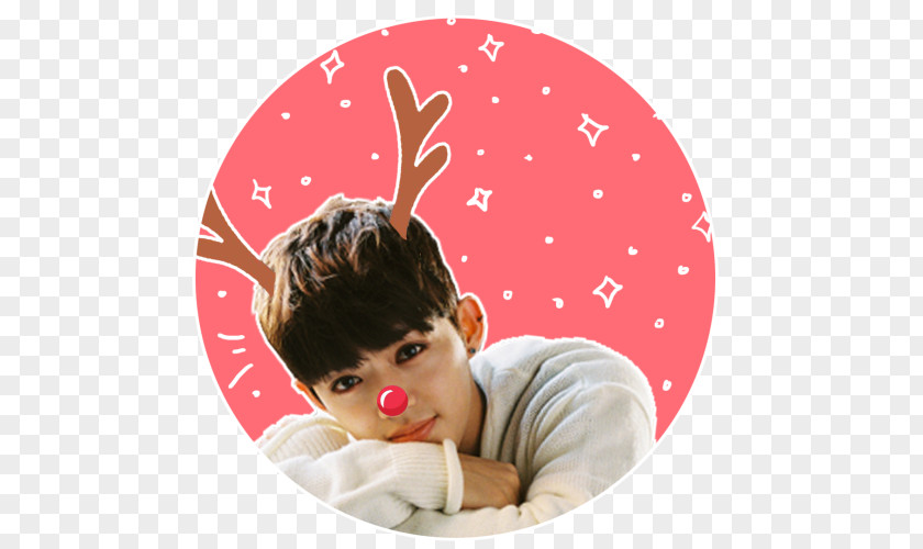 Reindeer Woozi Antler Christmas Ornament Tea PNG