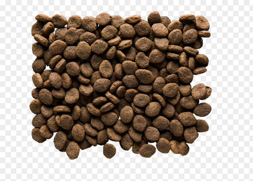 Semen Analysis Microscope Jamaican Blue Mountain Coffee Cubeb Allspice Commodity Seed PNG