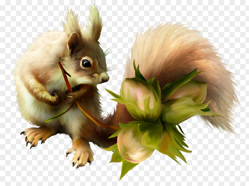 Chipmunk Tree Squirrel Red Clip Art PNG