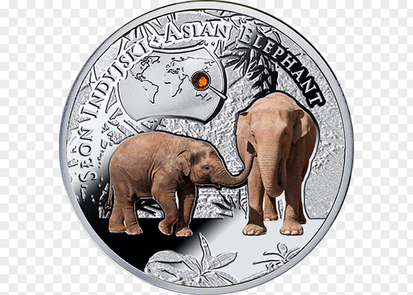Coin Indian Elephant African Bush Endangered Species Elephants PNG