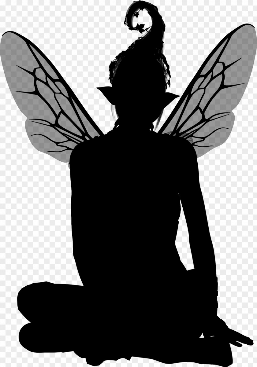 Fairy Silhouette PNG