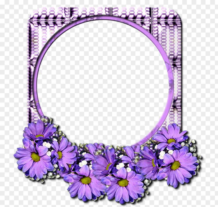 Pinceladas Picture Frames Photography Floral Design Lilac PNG