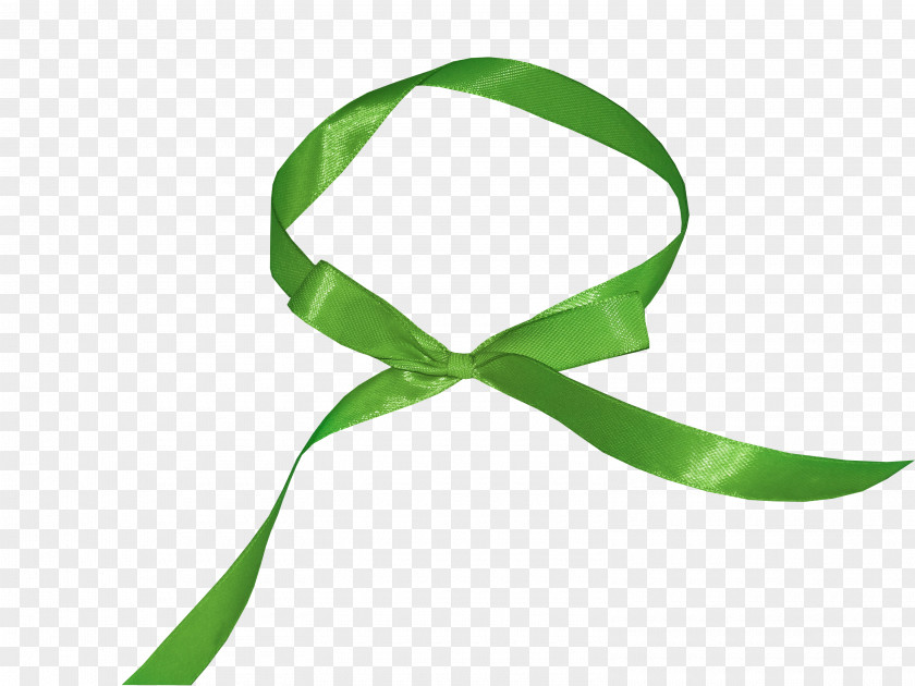 Ribbon Headgear Leaf Line Clip Art PNG