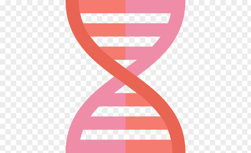Vector DNA Biology Nucleic Acid Structure PNG