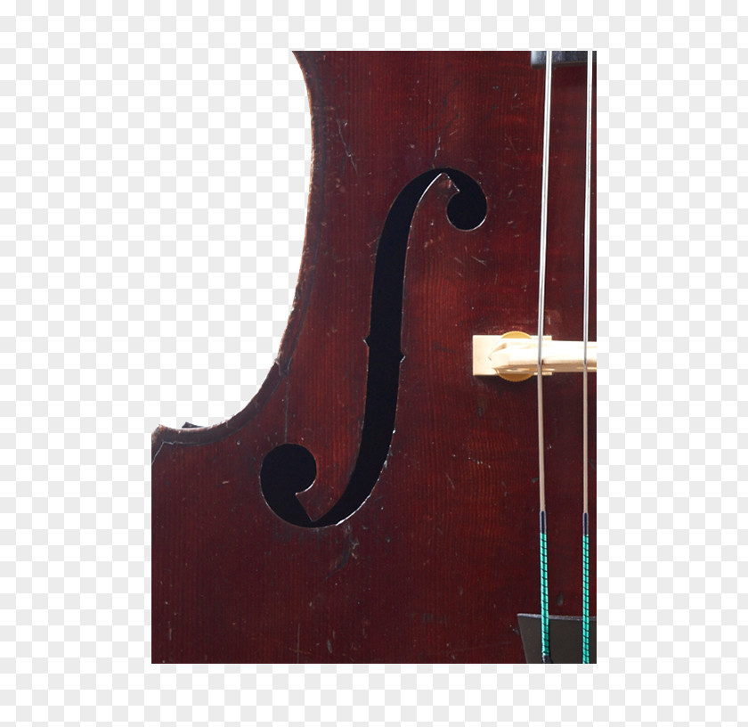Violin Bass Violone Viola Octobass Cello PNG