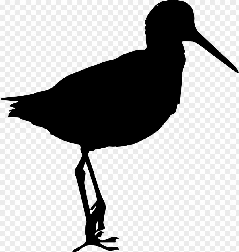 Bird Sandpiper Clip Art Vector Graphics Silhouette PNG