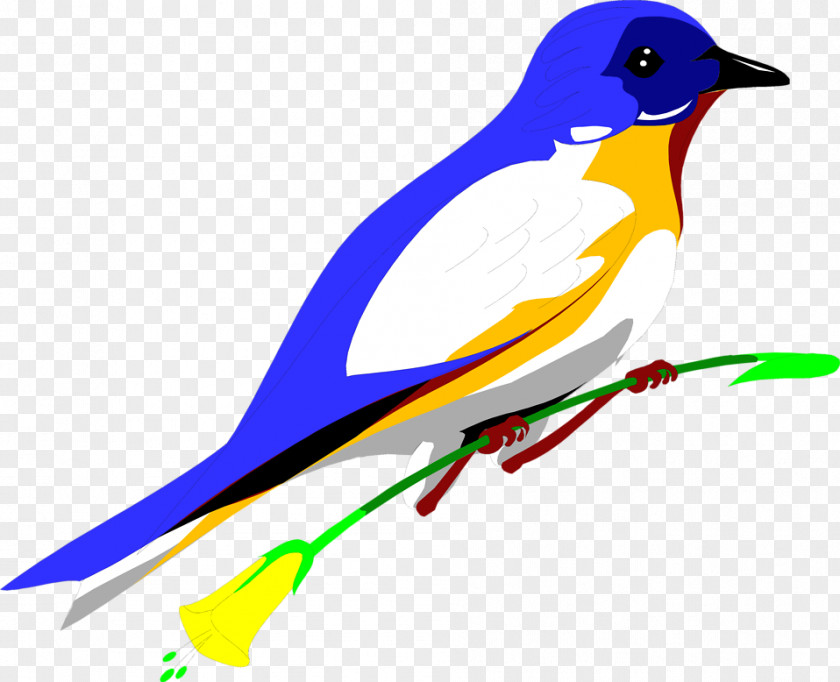 Flower Illustrations Bird Clip Art PNG
