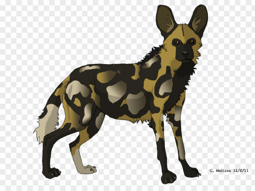 Howl Clipart African Wild Dog Puppy Hyena Dhole PNG