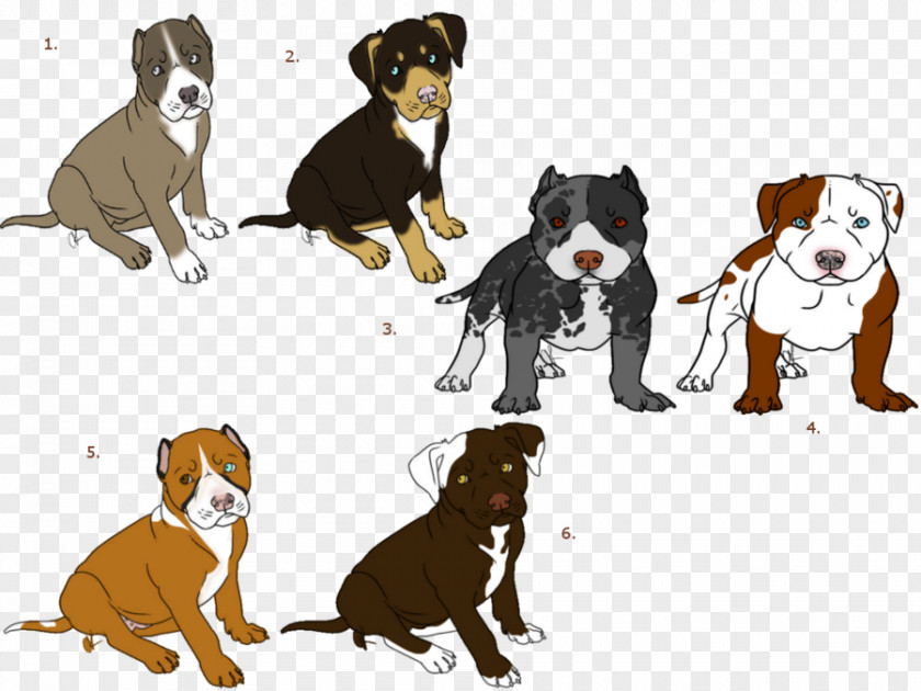 Puppy Dog Breed Cat Pit Bull Terrier PNG