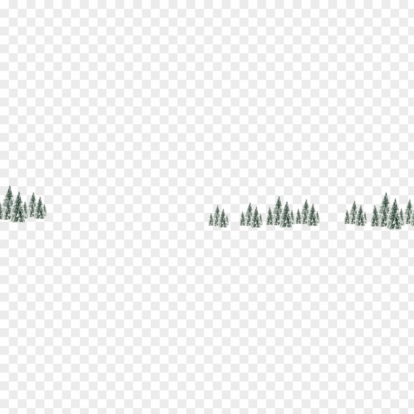 Snow Pine Winter PNG